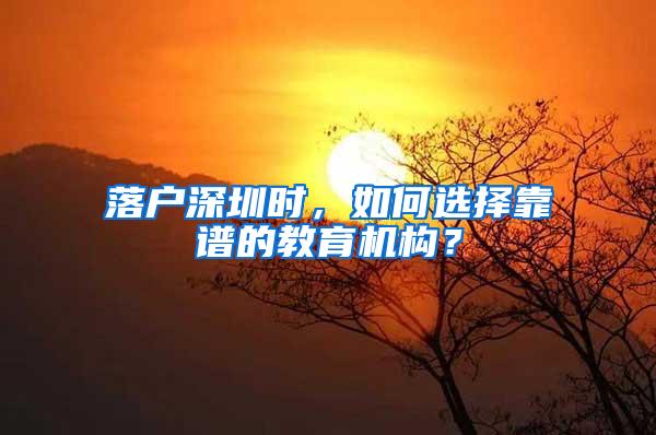 落户深圳时，如何选择靠谱的教育机构？