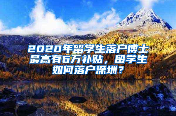 2020年留学生落户博士最高有6万补贴，留学生如何落户深圳？