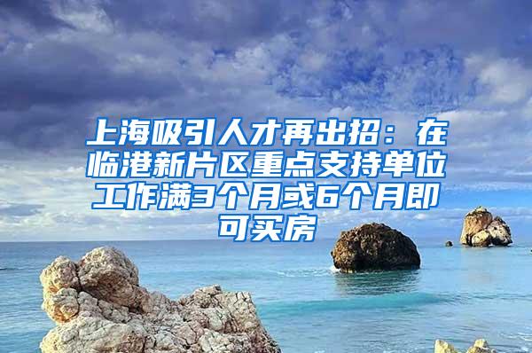 上海吸引人才再出招：在临港新片区重点支持单位工作满3个月或6个月即可买房