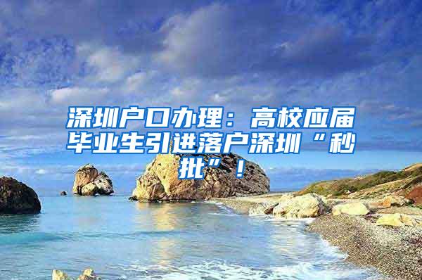 深圳户口办理：高校应届毕业生引进落户深圳“秒批”！