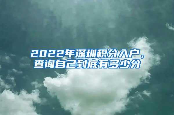 2022年深圳积分入户，查询自己到底有多少分