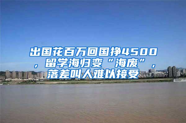 出国花百万回国挣4500，留学海归变“海废”，落差叫人难以接受