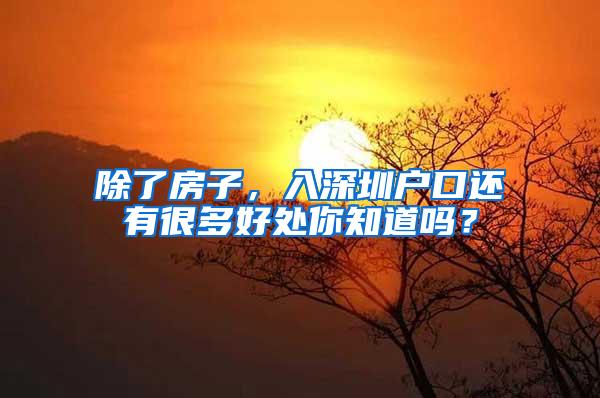 除了房子，入深圳户口还有很多好处你知道吗？