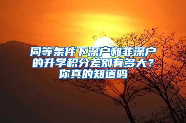 同等条件下深户和非深户的升学积分差别有多大？你真的知道吗