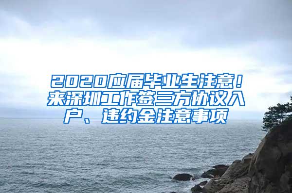 2020应届毕业生注意！来深圳工作签三方协议入户、违约金注意事项