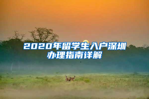 2020年留学生入户深圳办理指南详解