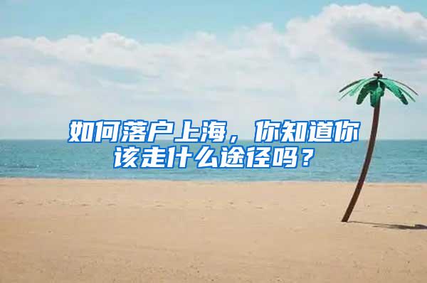 如何落户上海，你知道你该走什么途径吗？