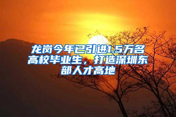 龙岗今年已引进1.5万名高校毕业生，打造深圳东部人才高地