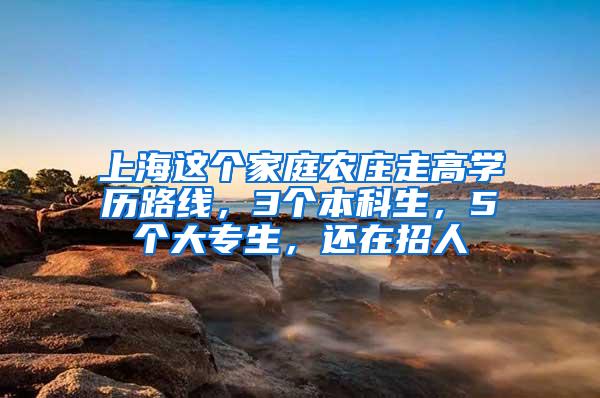 上海这个家庭农庄走高学历路线，3个本科生，5个大专生，还在招人