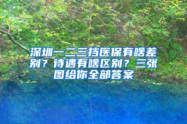 深圳一二三挡医保有啥差别？待遇有啥区别？三张图给你全部答案