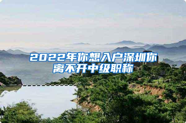 2022年你想入户深圳你离不开中级职称