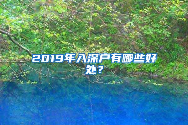 2019年入深户有哪些好处？