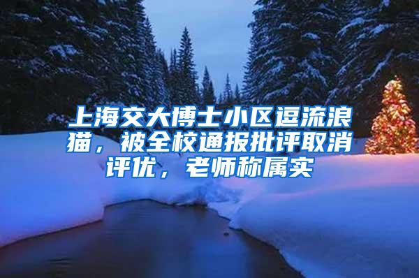 上海交大博士小区逗流浪猫，被全校通报批评取消评优，老师称属实