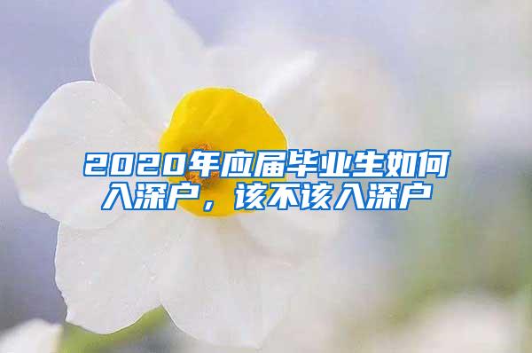 2020年应届毕业生如何入深户，该不该入深户