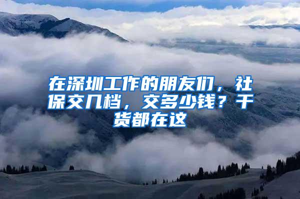 在深圳工作的朋友们，社保交几档，交多少钱？干货都在这