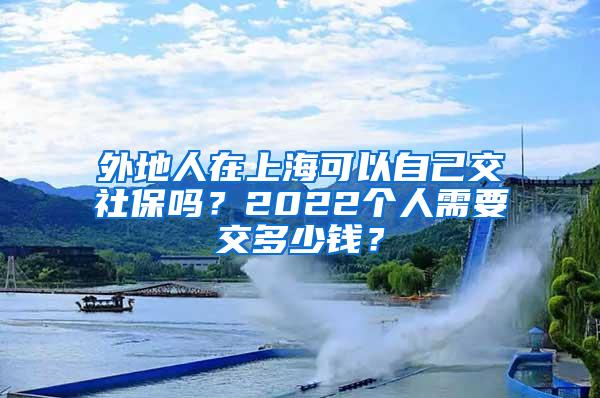 外地人在上海可以自己交社保吗？2022个人需要交多少钱？