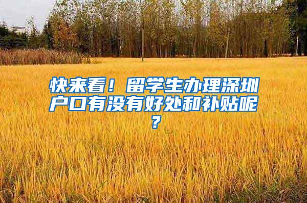 快来看！留学生办理深圳户口有没有好处和补贴呢？