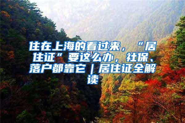 住在上海的看过来，“居住证”要这么办，社保、落户都靠它｜居住证全解读