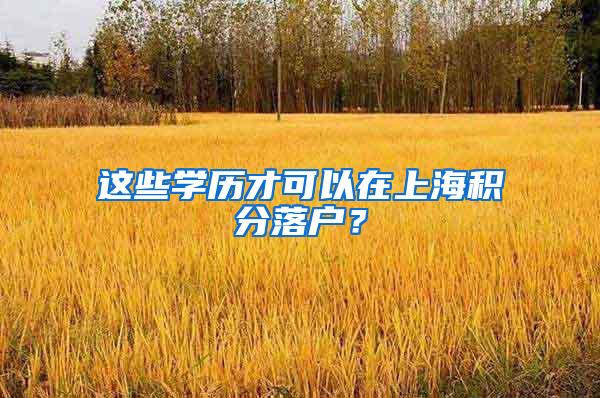 这些学历才可以在上海积分落户？