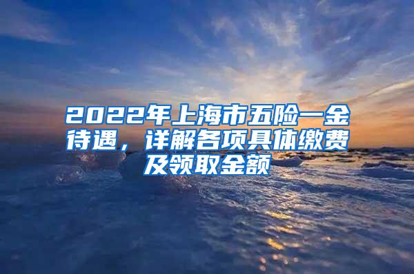 2022年上海市五险一金待遇，详解各项具体缴费及领取金额