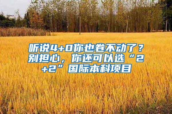 听说4+0你也卷不动了？别担心，你还可以选“2+2”国际本科项目