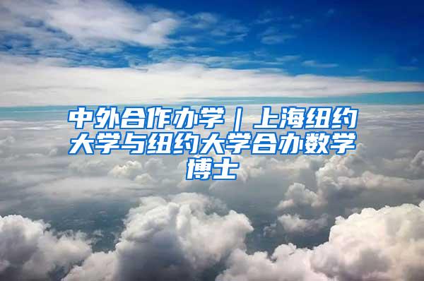 中外合作办学｜上海纽约大学与纽约大学合办数学博士