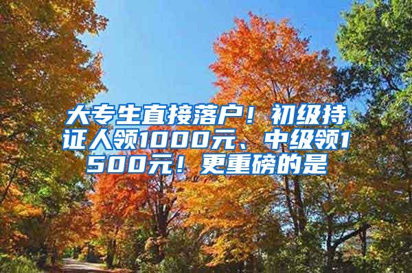 大专生直接落户！初级持证人领1000元、中级领1500元！更重磅的是