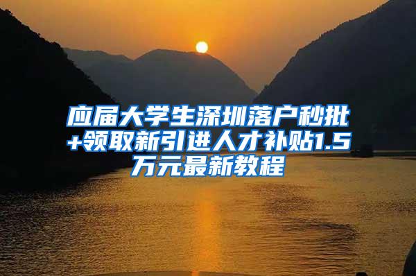 应届大学生深圳落户秒批+领取新引进人才补贴1.5万元最新教程