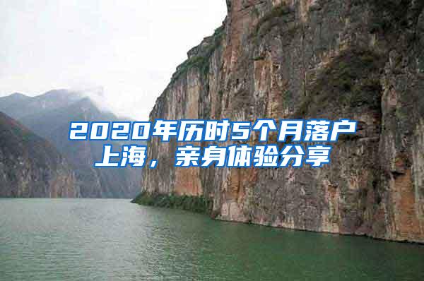 2020年历时5个月落户上海，亲身体验分享