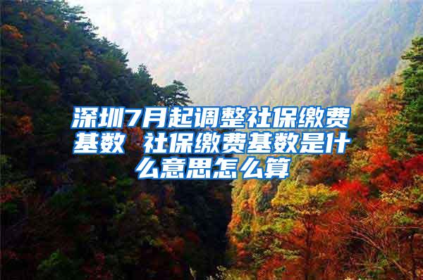 深圳7月起调整社保缴费基数 社保缴费基数是什么意思怎么算