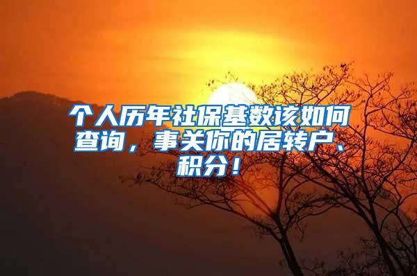 个人历年社保基数该如何查询，事关你的居转户、积分！