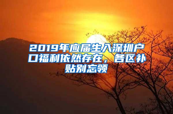 2019年应届生入深圳户口福利依然存在，各区补贴别忘领