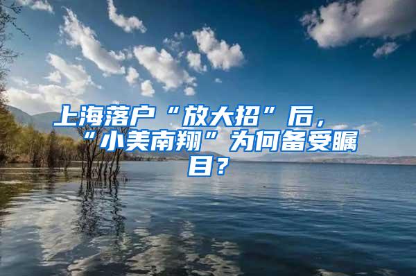 上海落户“放大招”后，“小美南翔”为何备受瞩目？