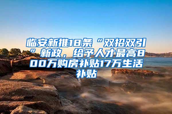 临安新推18条“双招双引”新政，给予人才最高800万购房补贴17万生活补贴