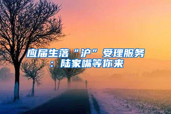 应届生落“沪”受理服务：陆家嘴等你来