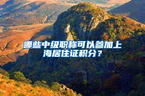 哪些中级职称可以参加上海居住证积分？