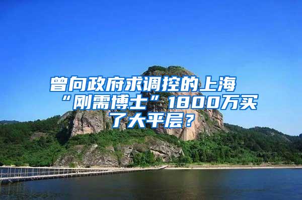 曾向政府求调控的上海“刚需博士”1800万买了大平层？