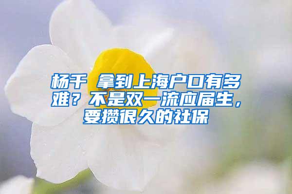 杨千嬅拿到上海户口有多难？不是双一流应届生，要攒很久的社保