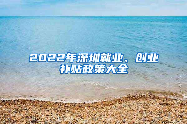 2022年深圳就业、创业补贴政策大全