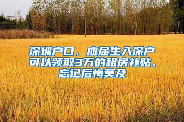 深圳户口、应届生入深户可以领取3万的租房补贴、忘记后悔莫及