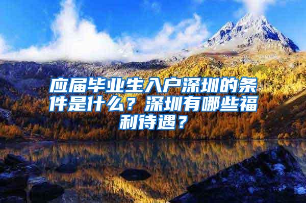 应届毕业生入户深圳的条件是什么？深圳有哪些福利待遇？