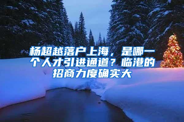 杨超越落户上海，是哪一个人才引进通道？临港的招商力度确实大