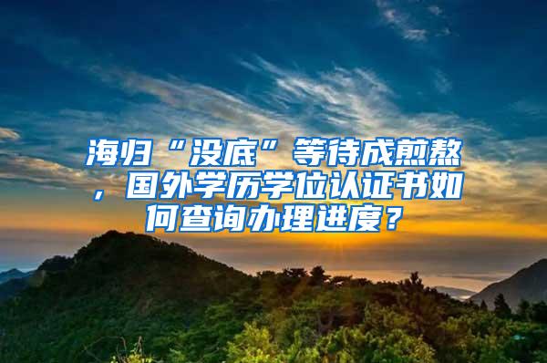 海归“没底”等待成煎熬，国外学历学位认证书如何查询办理进度？