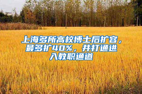 上海多所高校博士后扩容，最多扩40%，并打通进入教职通道