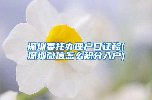 深圳委托办理户口迁移(深圳微信怎么积分入户)