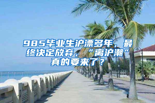 985毕业生沪漂多年，最终决定放弃，“离沪潮”真的要来了？