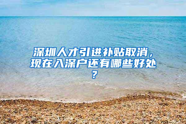 深圳人才引进补贴取消，现在入深户还有哪些好处？