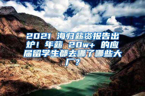 2021 海归薪资报告出炉！年薪 20w+ 的应届留学生都去哪了哪些大厂？