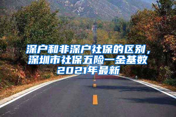 深户和非深户社保的区别，深圳市社保五险一金基数2021年最新