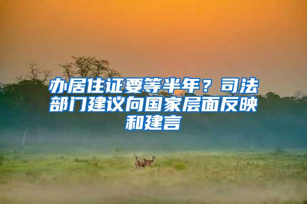 办居住证要等半年？司法部门建议向国家层面反映和建言